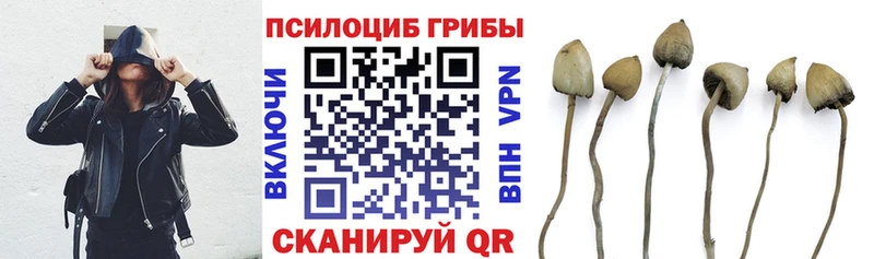 Галлюциногенные грибы мицелий  Купить  Кимры 